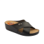 09-063-02 JELLİ